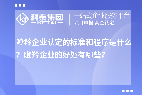 <a href=http://m.duckwijs.com/fuwu/dengling.html target=_blank class=infotextkey>瞪羚企業認定</a>的標準和程序是什么?瞪羚企業的好處有哪些?