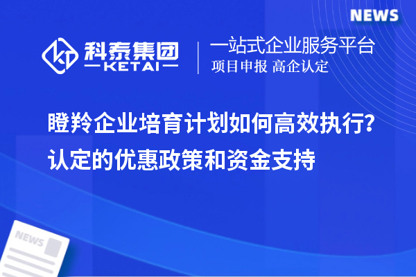 瞪羚企業培育計劃如何高效執行?認定的優惠政策和資金支持