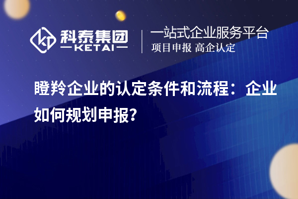 瞪羚企業(yè)的認(rèn)定條件和流程：企業(yè)如何規(guī)劃申報(bào)？