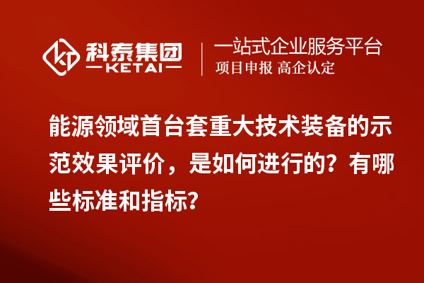 能源領域首臺套重大技術裝備的示范效果評價，是如何進行的？有哪些標準和指標？