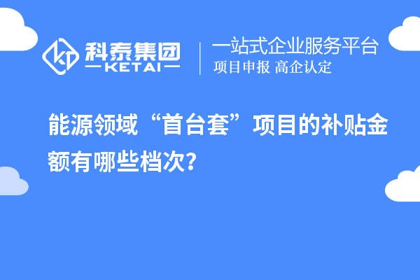 能源領(lǐng)域“首臺(tái)套”項(xiàng)目的補(bǔ)貼金額有哪些檔次?