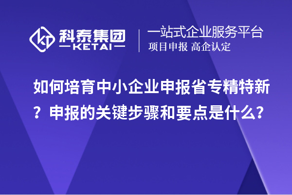 如何培育中小企業申報省專精特新？申報的關鍵步驟和要點是什么？