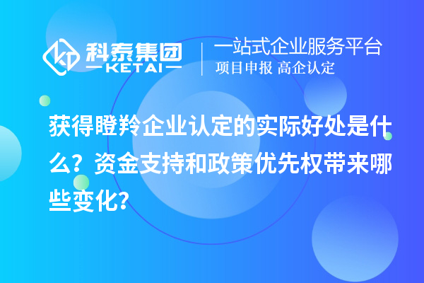 獲得瞪羚企業(yè)認(rèn)定的實(shí)際好處是什么？資金支持和政策優(yōu)先權(quán)帶來哪些變化？