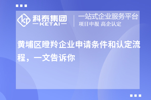 黃埔區(qū)瞪羚企業(yè)申請(qǐng)條件和認(rèn)定流程，一文告訴你