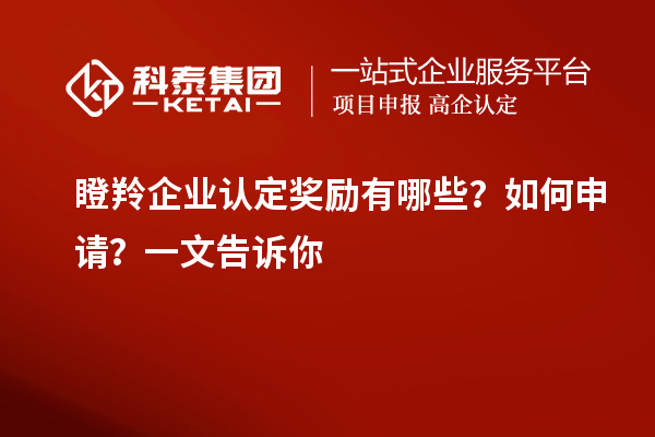 瞪羚企業(yè)認定獎勵有哪些？如何申請？一文告訴你