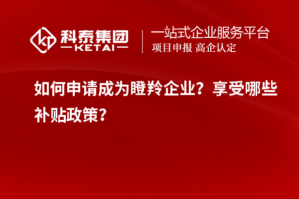 如何申請成為瞪羚企業(yè)？享受哪些補貼政策？