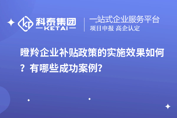 瞪羚企業(yè)補貼政策的實施效果如何？有哪些成功案例？