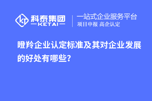 瞪羚企業(yè)認(rèn)定標(biāo)準(zhǔn)及其對企業(yè)發(fā)展的好處有哪些?