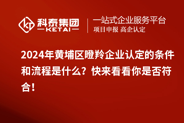 2024年黃埔區(qū)瞪羚企業(yè)認(rèn)定的條件和流程是什么?快來看看你是否符合!