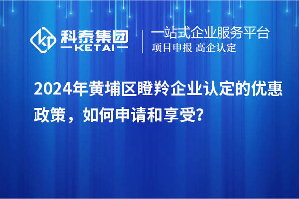 2024年黃埔區(qū)瞪羚企業(yè)認(rèn)定的優(yōu)惠政策,如何申請和享受?