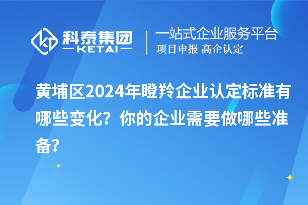 黃埔區(qū)2024年瞪羚企業(yè)認(rèn)定標(biāo)準(zhǔn)有哪些變化?你的企業(yè)需要做哪些準(zhǔn)備?