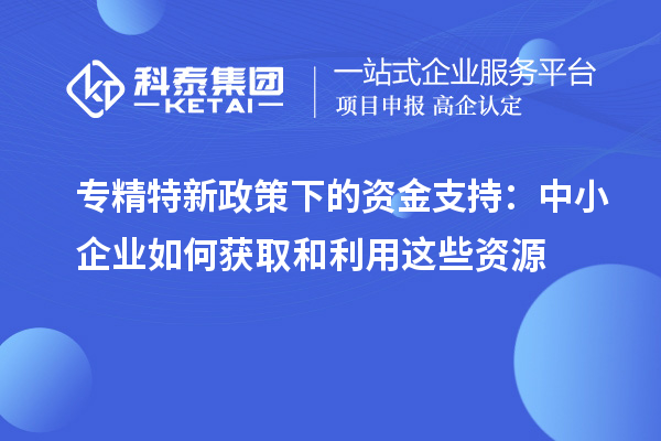 專精特新政策下的資金支持：中小企業如何獲取和利用這些資源