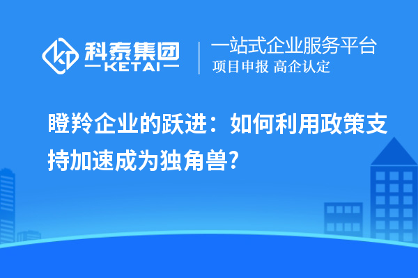 瞪羚企業(yè)的躍進(jìn):如何利用政策支持加速成為獨(dú)角獸?
