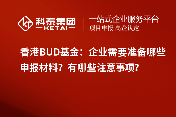 香港BUD基金：企業(yè)需要準(zhǔn)備哪些申報(bào)材料？有哪些注意事項(xiàng)？