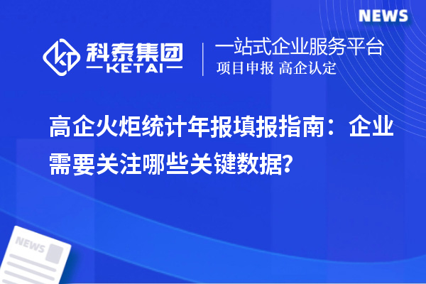 高企火炬統計年報填報指南:企業需要關注哪些關鍵數據?