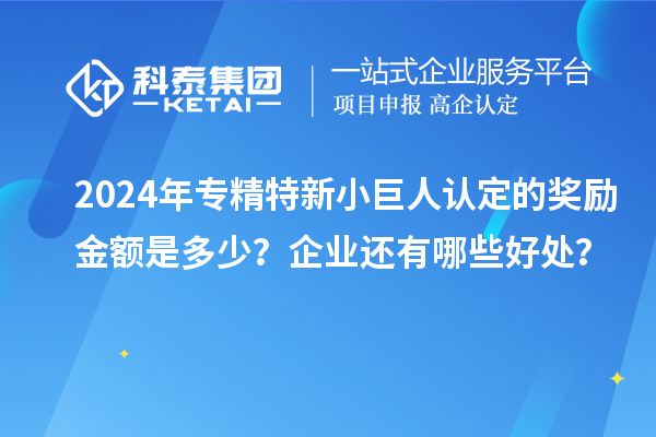 2024年專精特新小巨人認定的獎勵金額是多少？企業還有哪些好處？