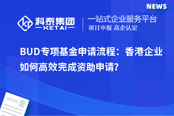 BUD專項基金申請流程：香港企業如何高效完成資助申請？