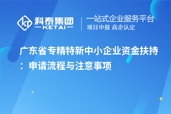 廣東省專精特新中小企業(yè)資金扶持:申請流程與注意事項