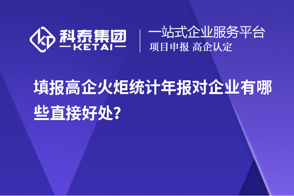  填報高企火炬統計年報對企業有哪些直接好處？