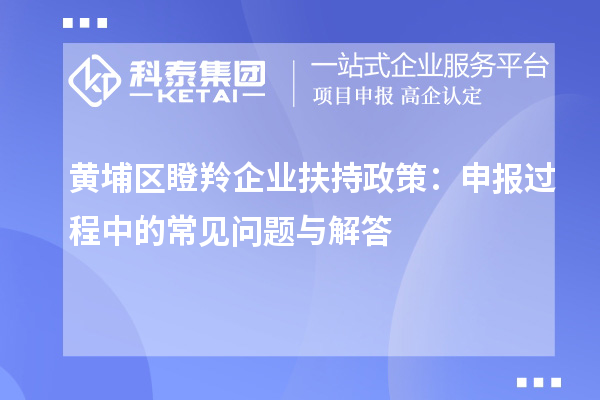 黃埔區瞪羚企業扶持政策：申報過程中的常見問題與解答