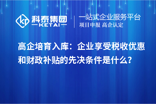 高企培育入庫：企業享受稅收優惠和財政補貼的先決條件是什么？