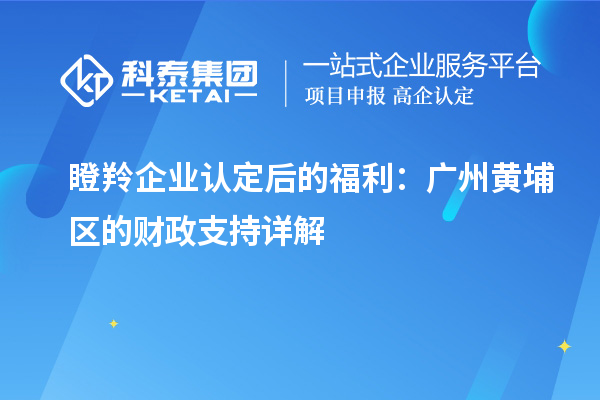 瞪羚企業認定后的福利：廣州黃埔區的財政支持詳解