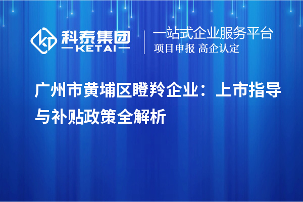 廣州市黃埔區瞪羚企業:上市指導與補貼政策全解析