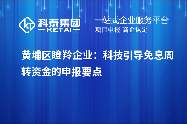 黃埔區瞪羚企業:科技引導免息周轉資金的申報要點