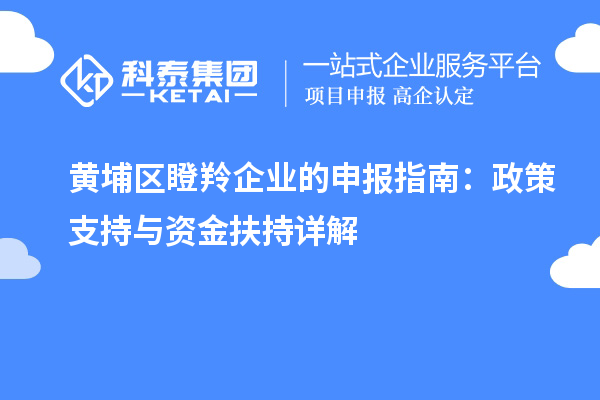 黃埔區瞪羚企業的申報指南:政策支持與資金扶持詳解
