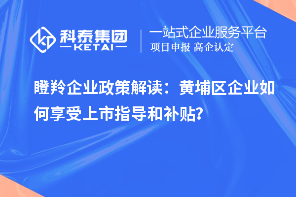 瞪羚企業政策解讀:黃埔區企業如何享受上市指導和補貼?