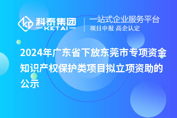 2024年廣東省下放東莞市專項資金知識產(chǎn)權(quán)保護類項目擬立項資助的公示