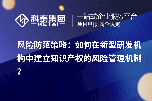 風險防范策略：如何在新型研發機構中建立知識產權的風險管理機制？