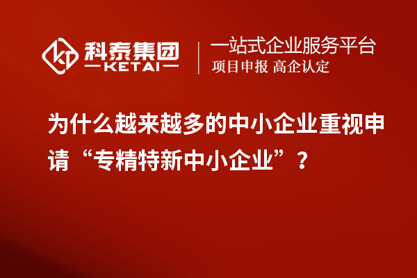 為什么越來(lái)越多的中小企業(yè)重視申請(qǐng)“專精特新中小企業(yè)”？
