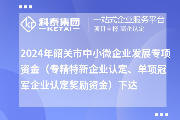 2024年韶關市中小微企業發展專項資金（專精特新企業認定、單項冠軍企業認定獎勵資金）下達