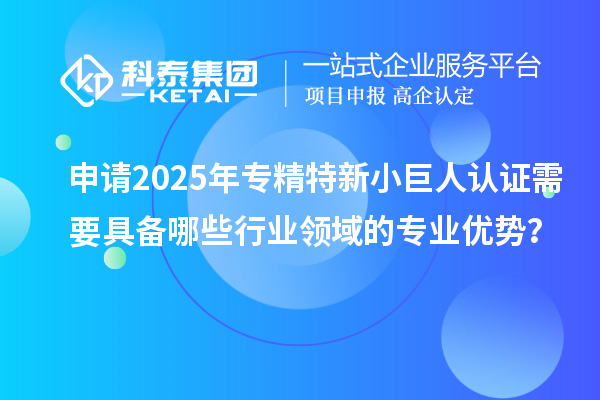 申請2025年專精特新小巨人認證需要具備哪些行業領域的專業優勢？