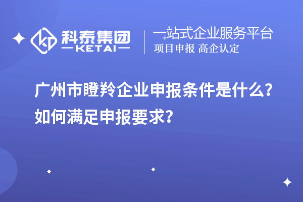 廣州市瞪羚企業申報條件是什么？如何滿足申報要求？