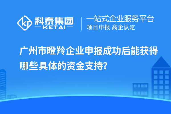 廣州市瞪羚企業申報成功后能獲得哪些具體的資金支持？