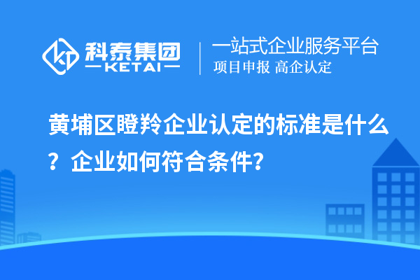 黃埔區(qū)瞪羚企業(yè)認(rèn)定的標(biāo)準(zhǔn)是什么?企業(yè)如何符合條件?