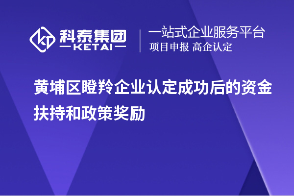 黃埔區(qū)瞪羚企業(yè)認(rèn)定成功后的資金扶持和政策獎勵