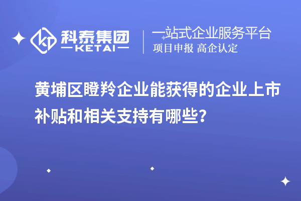 黃埔區(qū)瞪羚企業(yè)能獲得的企業(yè)上市補(bǔ)貼和相關(guān)支持有哪些?