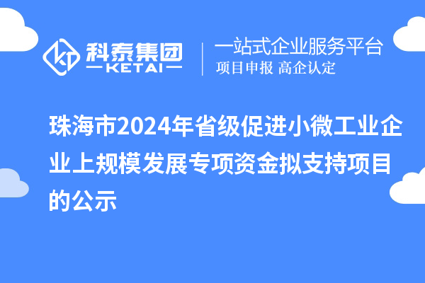珠海市2024年省級促進小微工業企業上規模發展專項資金擬支持項目的公示