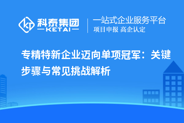 專精特新企業邁向單項冠軍：關鍵步驟與常見挑戰解析