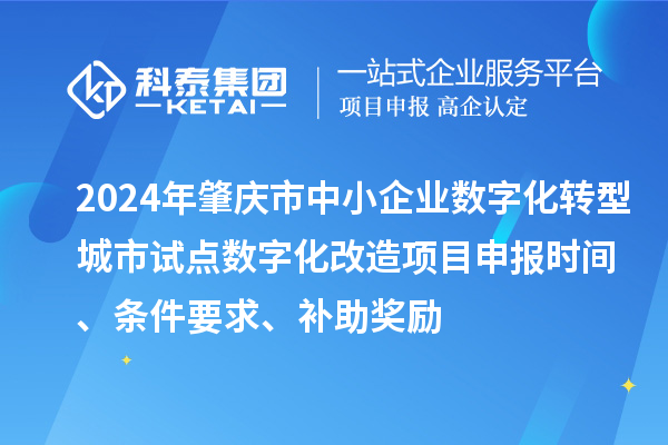 2024年肇慶市中小企業(yè)數(shù)字化轉(zhuǎn)型城市試點數(shù)字化改造項目申報時間、條件要求、補(bǔ)助獎勵