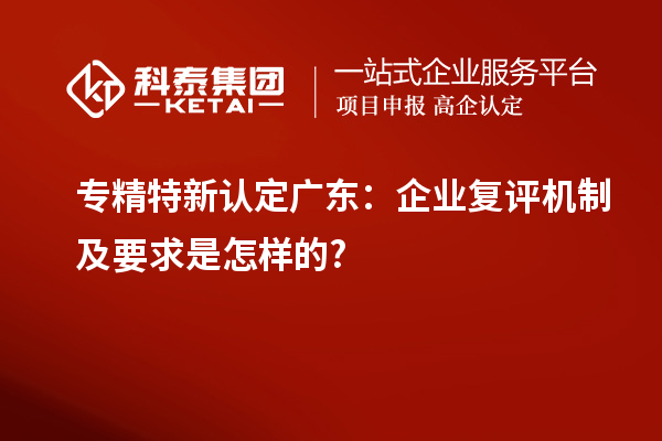 專精特新認(rèn)定廣東：企業(yè)復(fù)評機(jī)制及要求是怎樣的?