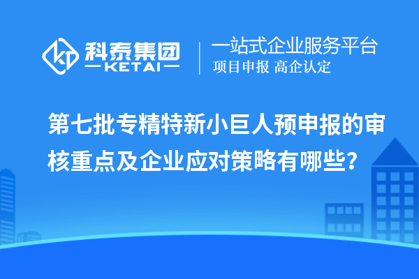 第七批專精特新小巨人預申報的審核重點及企業應對策略有哪些？