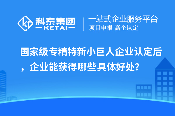 國家級專精特新小巨人企業認定后，企業能獲得哪些具體好處？
