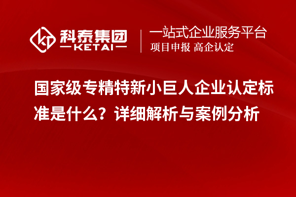國家級專精特新小巨人企業認定標準是什么？詳細解析與案例分析