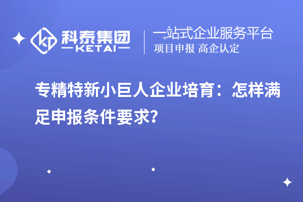 專精特新小巨人企業培育：怎樣滿足申報條件要求？