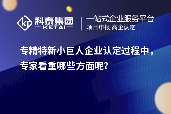 專精特新小巨人企業認定過程中，專家看重哪些方面呢？