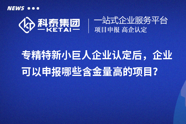 專精特新小巨人企業認定后，企業可以申報哪些含金量高的項目？